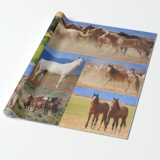 Horses Collage