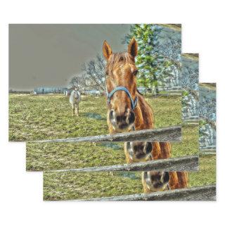 Horses Rustic Country Western Equestrian Farm  Sheets