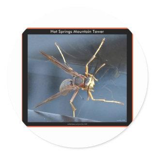 Hot Springs Mountain Wasp Gift & Aparel Classic Round Sticker