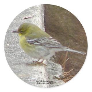 Hot Springs Mt Female Black Throated Warbler Gifts Classic Round Sticker
