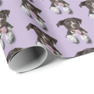 hound dog on purple
