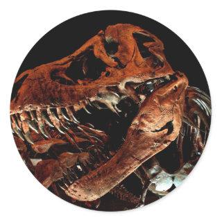 Houston Museum of Natural Science Classic Round Sticker
