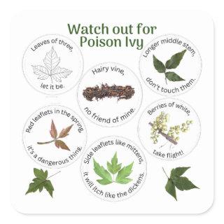How to Identify Poison Ivy  Square Sticker
