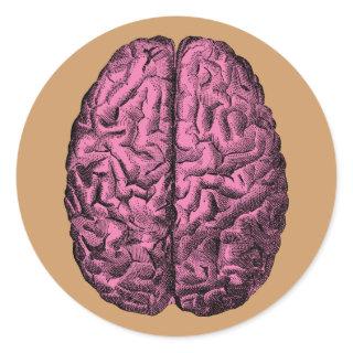 Human Anatomy Brain Classic Round Sticker