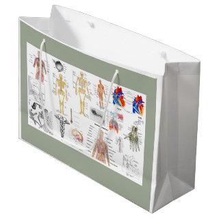 Human Anatomy Charts Large Gift Bag