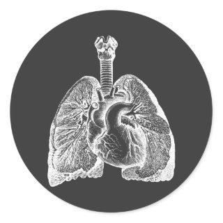 Human Biology Anatomy Heart Lungs Science Art   Classic Round Sticker