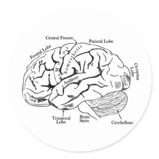 Human Brain Classic Round Sticker