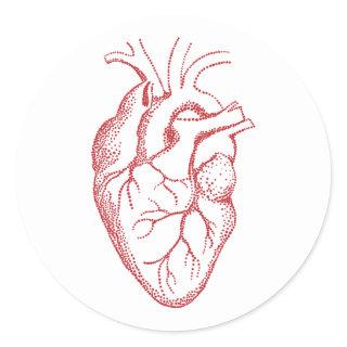 Human heart anatomy drawing classic round sticker