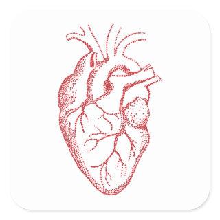 Human heart anatomy drawing square sticker