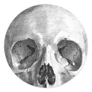Human skull anatomy sketch drawing classic round sticker
