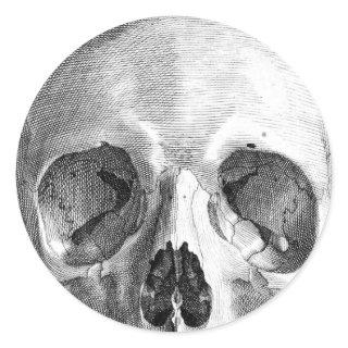 Human skull anatomy sketch drawing classic round sticker