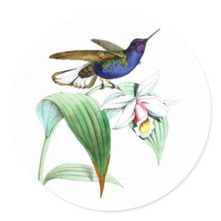 Hummingbird no.1 violet purple bird white flower classic round sticker