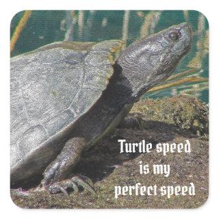 Humorous Turtle Speed is my Favorite Speed Animal Square Sticker