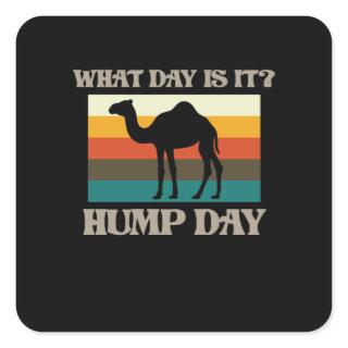 Hump Day Camel Animal Lover Camels Pet Owner Graph Square Sticker
