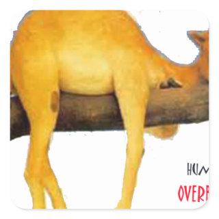 Hump Day Camel .. Overblown Square Sticker