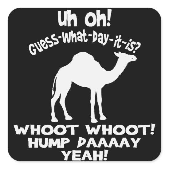 Hump Day Camel Stickers