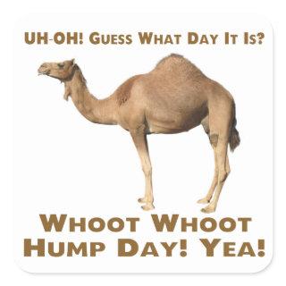 Hump Day Square Sticker