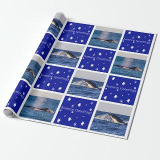 Humpback Whale Breaching Australia Christmas