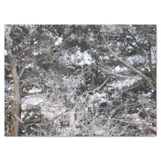 Hunting Camouflage Snow Pattern 4 Tissue Paper