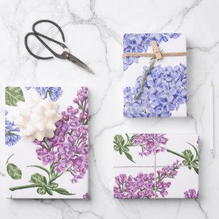 Hyacinth  Sheets