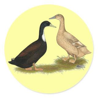 Hybrid Laying Duck Classic Round Sticker