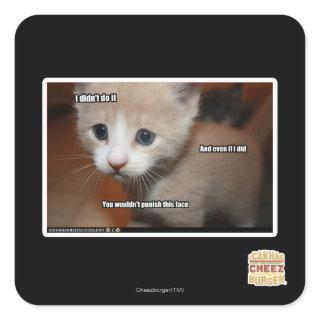 I didn't do it. square sticker