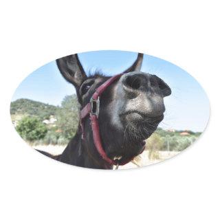 I Love Donkeys! Oval Sticker