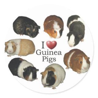 I Love Guinea Pig Stickers