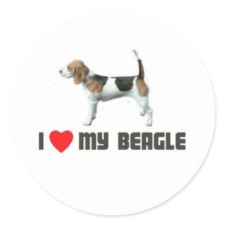 I Love My Beagle Classic Round Sticker