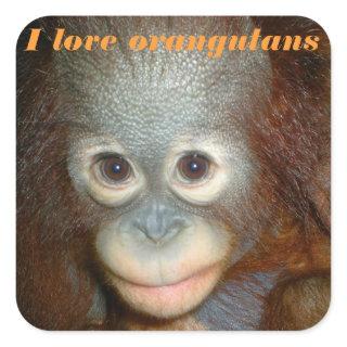 I Love Orangutan Square Sticker