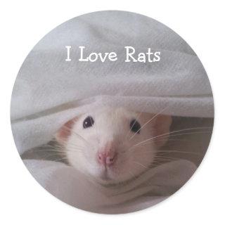 I Love Rats Stickers