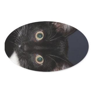 I LUV KATZ OVAL STICKER