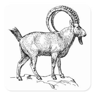 Ibex Square Sticker