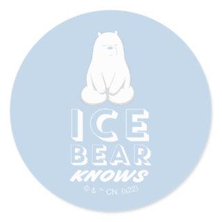 Ice Bear Knows Classic Round Sticker