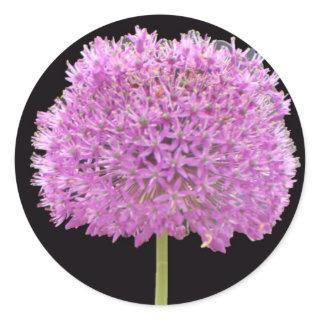 Illium Summer Spring Flower -Irish Design Classic Round Sticker