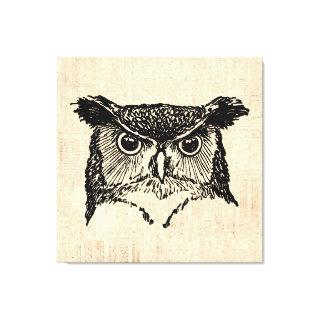 Illustrated Owl Art Canvas Print