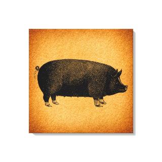 Illustrated Vintage Pig Rustic Art Canvas Print