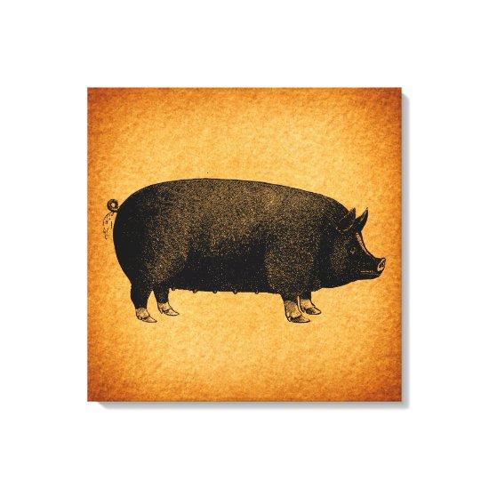 Illustrated Vintage Pig Rustic Art Canvas Print