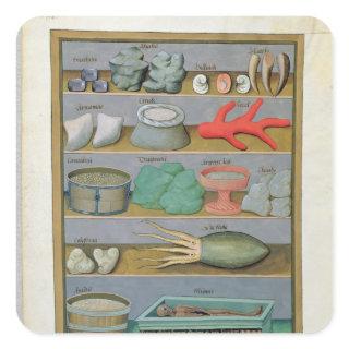 Illustration from the 'Book of Simple Medicines' Square Sticker