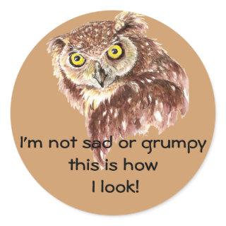 I'm not sad or grumpy this is how I look Owl Classic Round Sticker