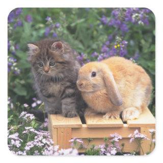 Image of a Kitten and a Lop Ear Rabbit Standing Square Sticker