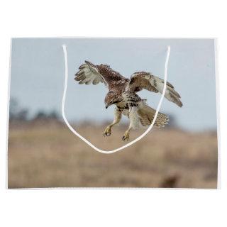 Immature Red Tailed Hawk Hovering Large Gift Bag