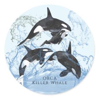 Incredible Black and White Watercolor Orcas Classic Round Sticker