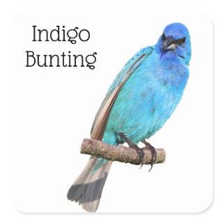 Indigo Bunting Square Sticker