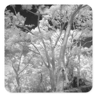 Infra red of trees buildings and trails in Las 2 Square Sticker
