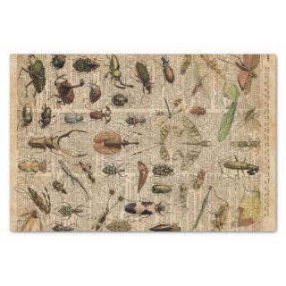 Insects Bugs Vintage Illustration Dictionary Art Tissue Paper