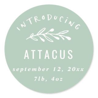 Introducing branch birth announcement classic round sticker