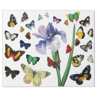 IRIS AMONG COLORFUL BUTTERFLIES White Floral