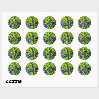 Iris Stickers