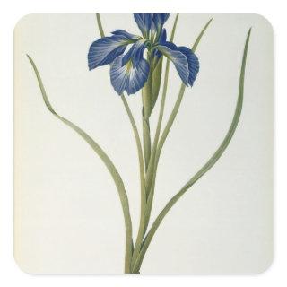 Iris Xyphioides, from `Les Liliacees', 1808 Square Sticker